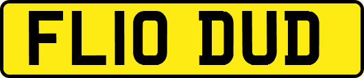 FL10DUD
