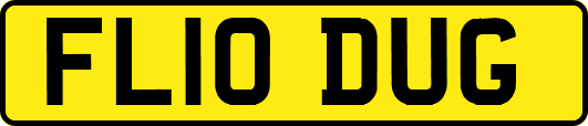 FL10DUG