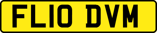 FL10DVM