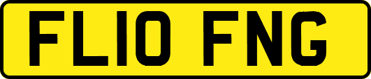FL10FNG