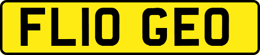 FL10GEO