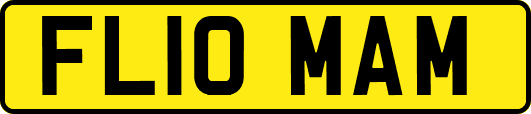 FL10MAM