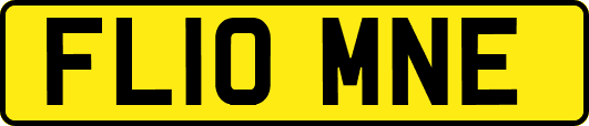 FL10MNE
