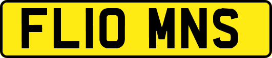 FL10MNS