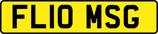 FL10MSG