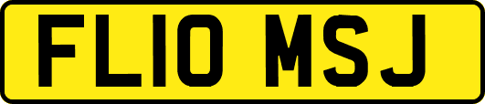 FL10MSJ