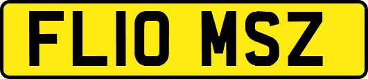 FL10MSZ