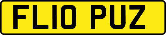 FL10PUZ