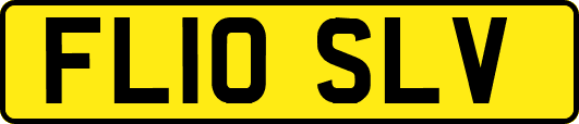 FL10SLV