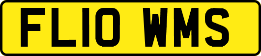 FL10WMS