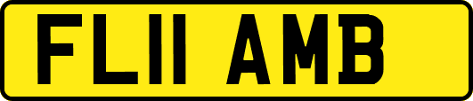 FL11AMB