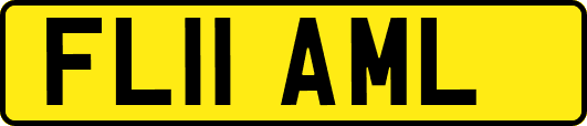 FL11AML