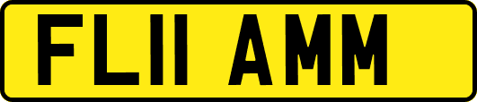 FL11AMM