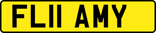 FL11AMY