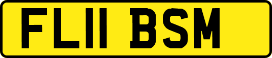 FL11BSM
