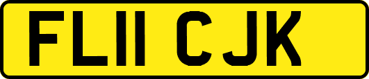 FL11CJK