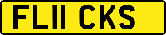 FL11CKS