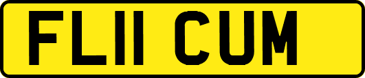 FL11CUM
