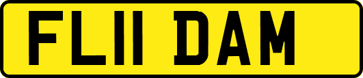 FL11DAM