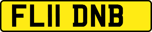 FL11DNB