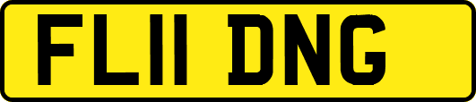 FL11DNG