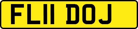 FL11DOJ