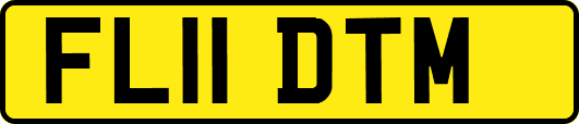 FL11DTM