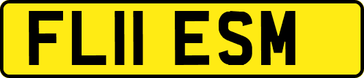 FL11ESM