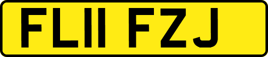 FL11FZJ