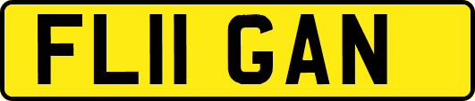 FL11GAN