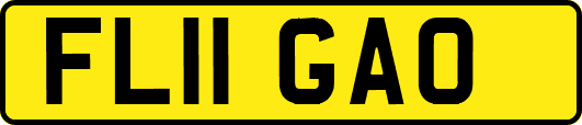 FL11GAO