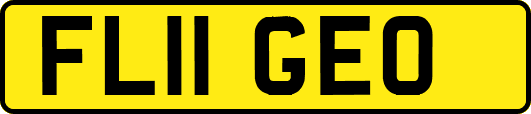FL11GEO