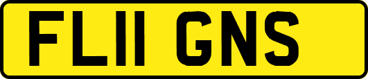 FL11GNS