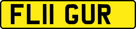 FL11GUR