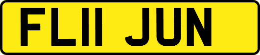 FL11JUN