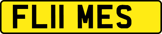 FL11MES