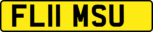 FL11MSU