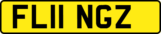 FL11NGZ