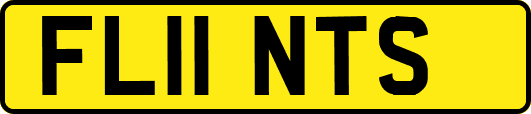 FL11NTS