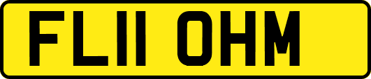 FL11OHM