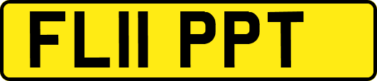 FL11PPT