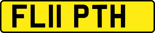 FL11PTH