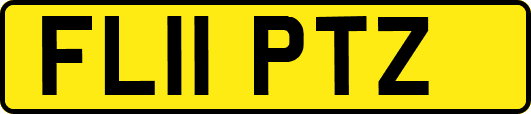 FL11PTZ