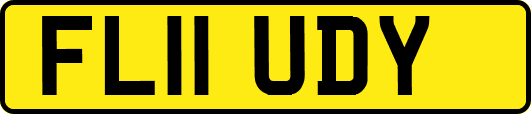 FL11UDY