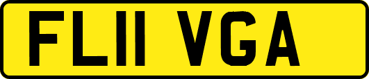FL11VGA