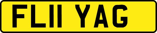 FL11YAG