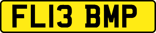 FL13BMP