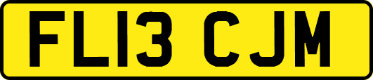 FL13CJM