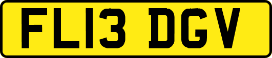 FL13DGV