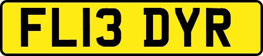 FL13DYR